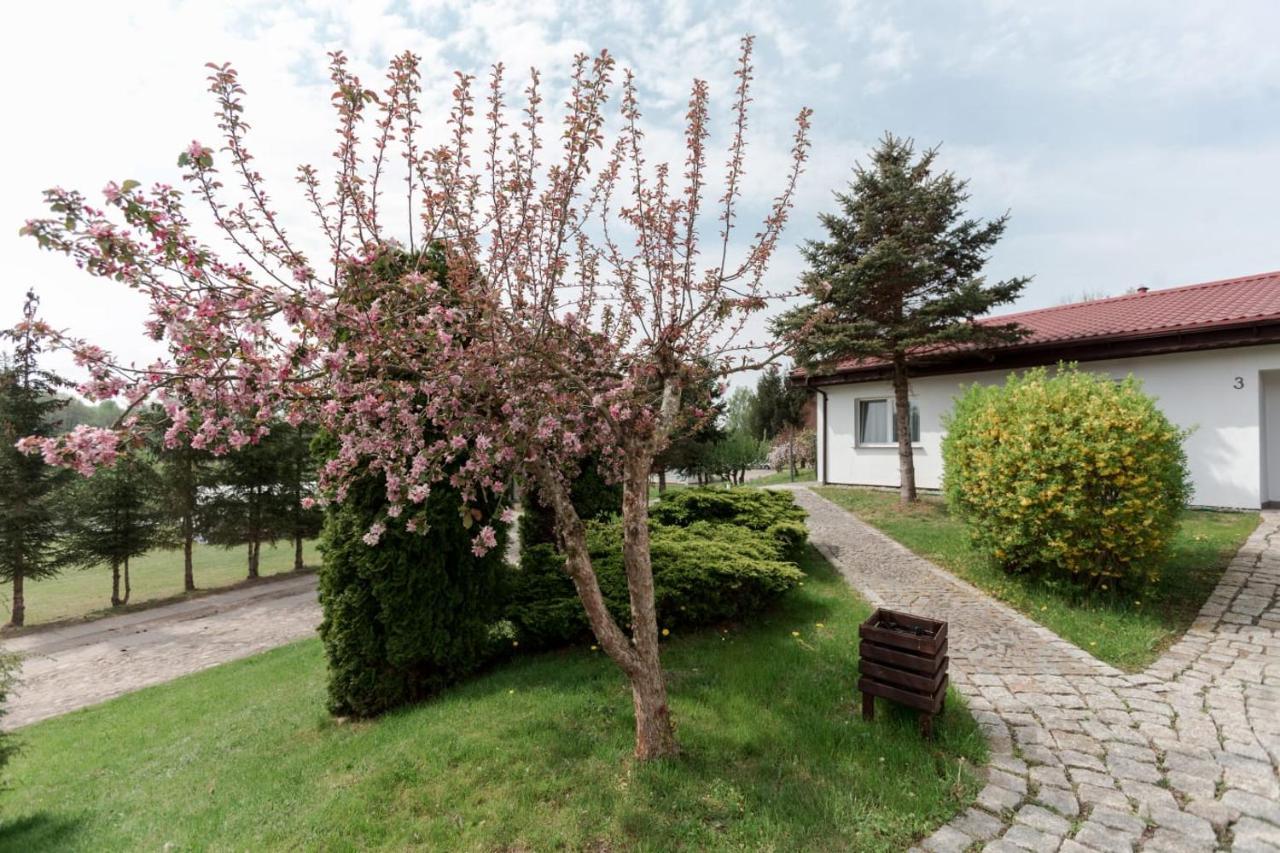 Petrico Camp Resort Krzywoploty  المظهر الخارجي الصورة